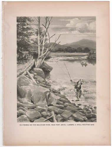 Fly-fishing on the Delaware River